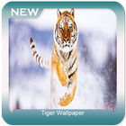 Tiger Wallpaper icon