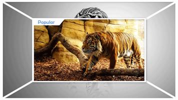 Tiger Wallpaper screenshot 1