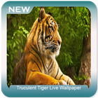 Truculent Tiger Wallpaper icône