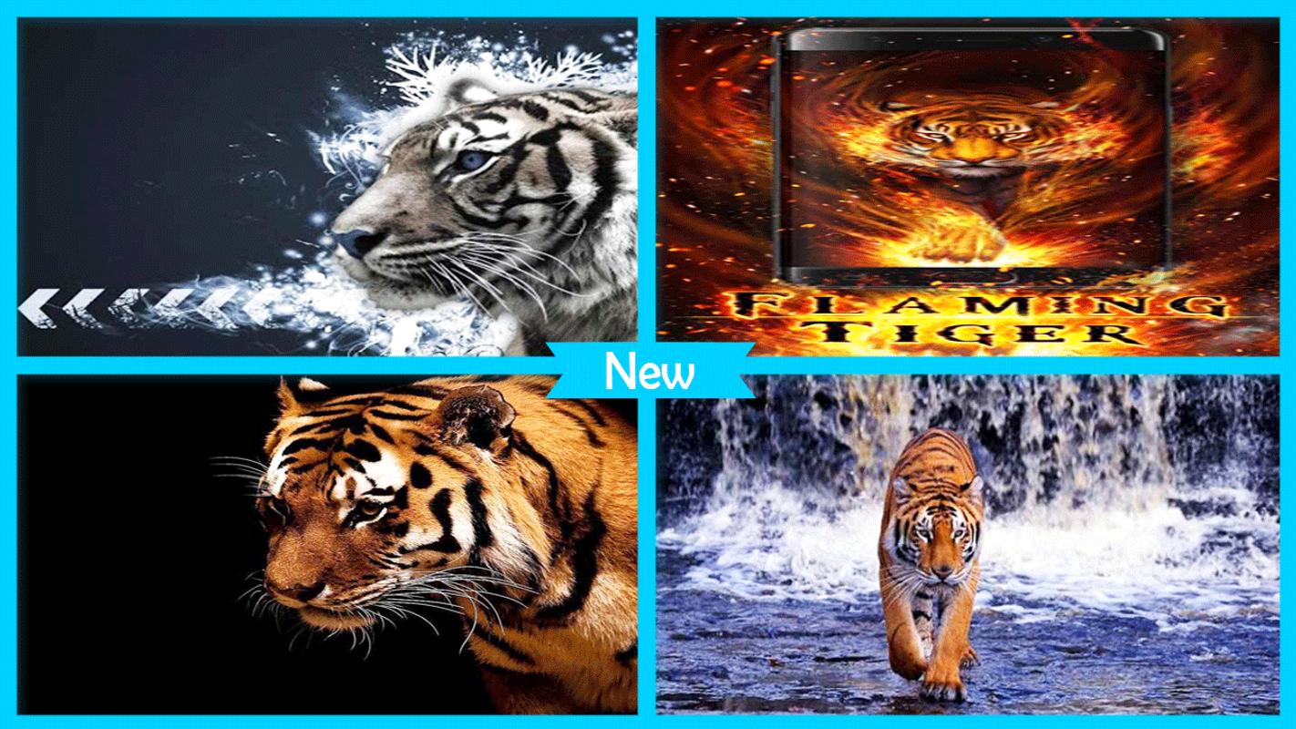 Populer Download Gambar Naga  Dan  Harimau  Goodgambar