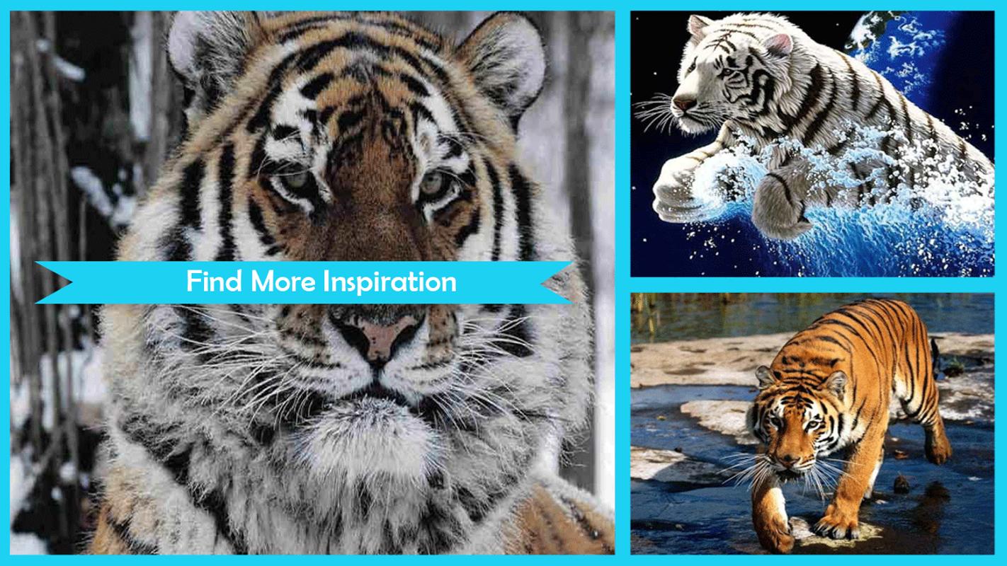 Populer Download Gambar  Naga  Dan Harimau  Goodgambar