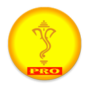 PRO संपूर्ण आरतीसंग्रह Digital APK