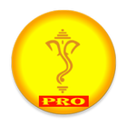 ikon PRO संपूर्ण आरतीसंग्रह Digital