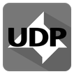 UDP Monitor