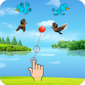 Catch The Birds