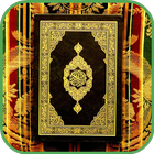 Saudi Arabia Best Imams Biography & Quran Tilawat icône