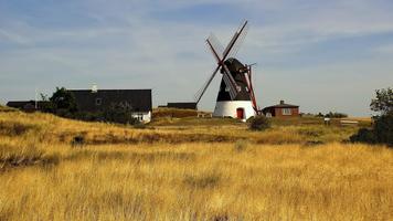 Windmill Wallpapers Affiche