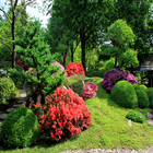 Jardín Fondos icono