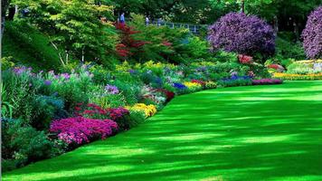 Garden Wallpapers imagem de tela 2