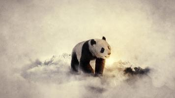 3 Schermata Panda Wallpapers