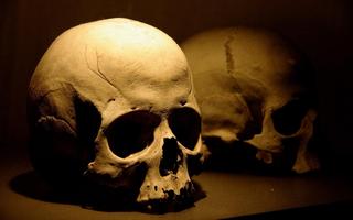 Skull Wallpapers 海報