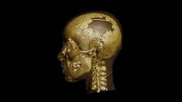 Skull Wallpapers 截圖 1