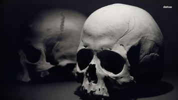 Skull Wallpapers 截圖 3