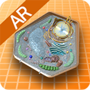 세포-APK