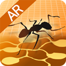 개미집의 구조-APK