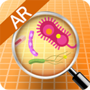 세균 팡팡-APK