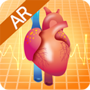 심장의 구조-APK
