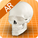 해골의 구조-APK