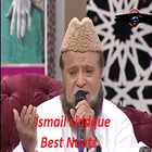 Ismail Siddique Naats আইকন