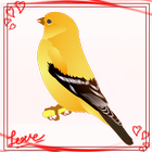 آیکون‌ Nepali Lyrics Pro