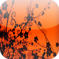 Abstract Flowers HD Wallpapers