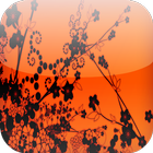 Icona Abstract Flowers HD Wallpapers