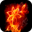 Beautiful Fire HD Wallpapers