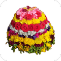 Bathukamma Songs and Lyrics