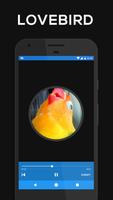 Lovebird Ngekek Kicau Master screenshot 1