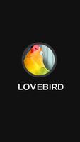 Lovebird Ngekek Kicau Master ภาพหน้าจอ 2