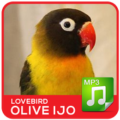 Lovebird Olive Hijau Mp3 icône
