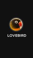 Lovebird Olive Hijau Mp3 ảnh chụp màn hình 2