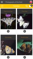 1 Schermata BUTTERFLIES - The book