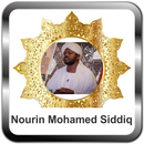 Murottal Nourin Mohamed Siddiq 30 Juz APK