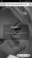 Sassy's Hair Salon capture d'écran 1