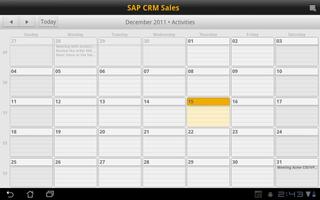 SAP CRM Sales screenshot 2