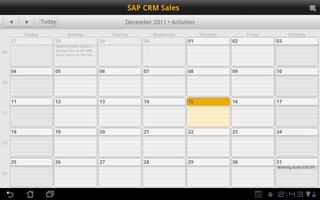 SAP CRM Sales capture d'écran 2