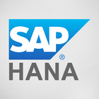 SAP HANA icône