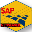 Learn SAP NetWeaver