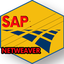 Learn SAP NetWeaver APK
