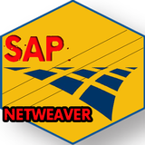 Learn SAP NetWeaver icône