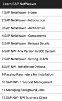 Learn SAP NetWeaver plakat