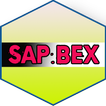 Learn SAP BEx Full