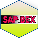 Learn SAP BEx Full APK