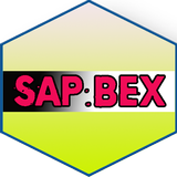 Learn SAP BEx Full Zeichen