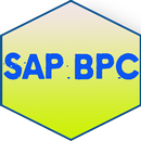 Learn SAP BPC APK