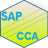 Learn SAP CCA иконка