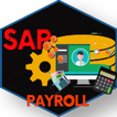 Learn SAP Payroll