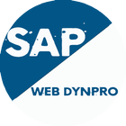 Learn SAP Web Dynpro icône