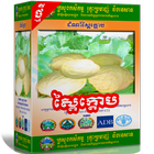 បច្ចេកទេសដាំដំណាំស្ពៃក្តោប icon